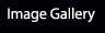 Image Gallery